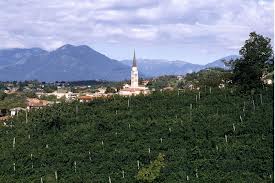 breganze vigneti