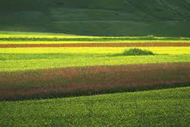 campagna umbra