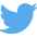 ico social tw footer